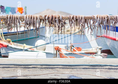 Calamari essiccamento sotto il sole della Grecia nel porto di Naoussa, isola di Paros. Foto Stock