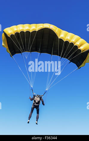 Paracadutisti - 2014. Volo nel cielo blu. Foto Stock