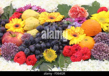 Composizione di arte con frutta fresca e fiori Foto stock - Alamy
