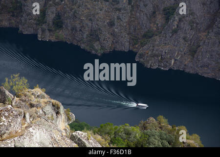 Barca a Cañón del río Sil, il canyon del fiume Sil, Parada de Sil, Ourense, Galizia, Spagna Foto Stock