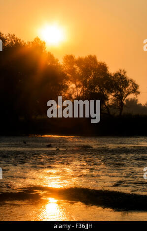 Estate colorato tramonto sul fiume Krka in Slovenia. Foto Stock