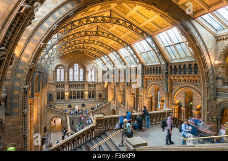 Visitatori all'interno del salone centrale del Museo di Storia Naturale Exhibition Road South Kensington Londra Inghilterra GB UK EU Europe Foto Stock