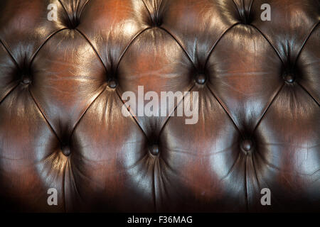 Marrone Classico texture in pelle Foto Stock