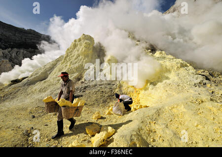 Gli uomini l'estrazione dello zolfo dal vulcano Ijen, Java, Indonesia Foto Stock