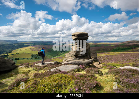 Un walker presso la cantina sale di formazione di roccia sul bordo Derwent in estate con Heather, il Parco Nazionale di Peak District, Derbyshire, Foto Stock