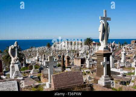 Cimitero di Waverley e Mare di Tasman Oceano Pacifico Sydney NSW Australia Foto Stock