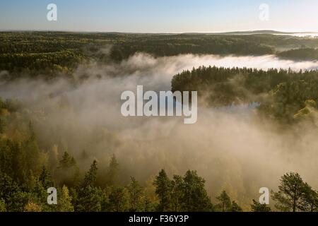 Una fitta nebbia che copre la foresta e il lago di prima mattina paesaggio. Vista pacifica dal Aulanko lookout tower in Finlandia. Foto Stock