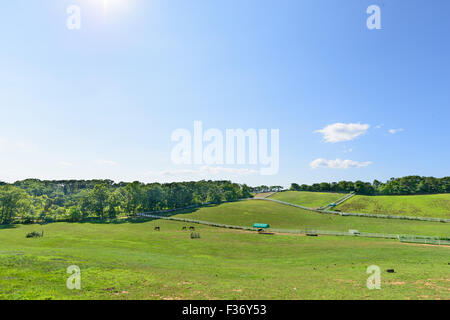 Paesaggio di cavallo ranch con recinto bianco in una giornata di sole Foto Stock