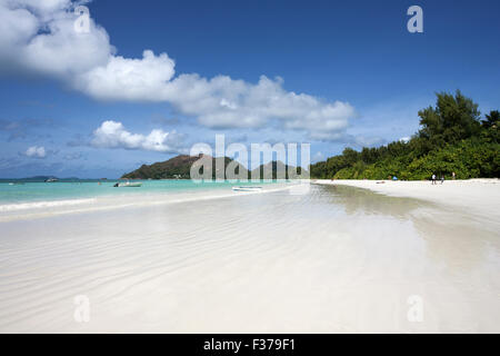 Lunga spiaggia di sabbia bianca di Anse Volbert, Isola di Praslin, Seicelle Foto Stock