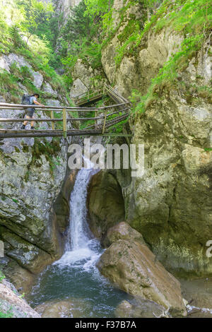 La passerella in Bärenschützklamm, Mixnitz, Stiria, Austria Foto Stock