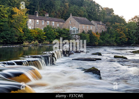 Fiume Tees, Barnard Castle, Teesdale, nella contea di Durham. Giovedì 1 ottobre 2015, UK Meteo. I primi segni di autunno appaiono sugli alberi che circondano Demesnes mulino sul Fiume Tees a Barnard Castle. In generale è stato un avviamento a freddo al giorno per l'Inghilterra settentrionale con alcune parti vivendo un gelo. Le temperature sono attesi come recuperare la mattina progredisce e si aspetta di essere un'altra bella giornata d'autunno. Credito: David Forster/Alamy Live News Foto Stock