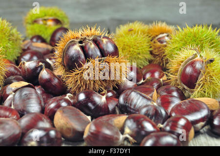 Close up foto del mazzetto di castagne Foto Stock