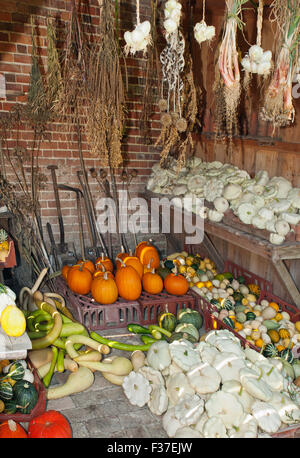 Autumn harvest in un capannone. Foto Stock