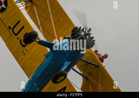 Emma Stewart Rigby ala a piedi in cima a un Boeing Stearman piano azionato da tattiche di Acrobazia Aerea a Damyns Hall, Essex Foto Stock