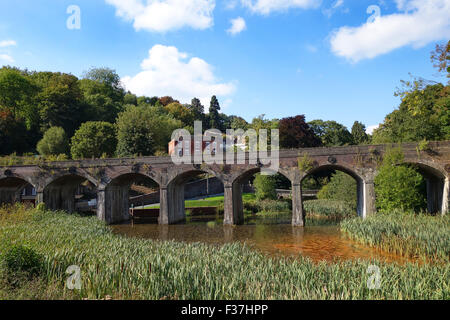 Il viadotto ferroviario a forno superiore in piscina a Coalbrookdale Telford Shropshire Regno Unito Foto Stock