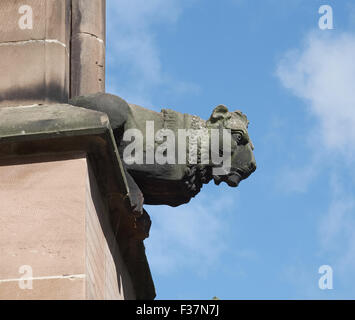 Lichfield Cathedral lion gargoyle Foto Stock