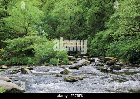 Ponte su trasformata per forte gradiente Oak acqua e Oriente Lyn river, Watersmeet, Devon, Inghilterra, Regno Unito Foto Stock