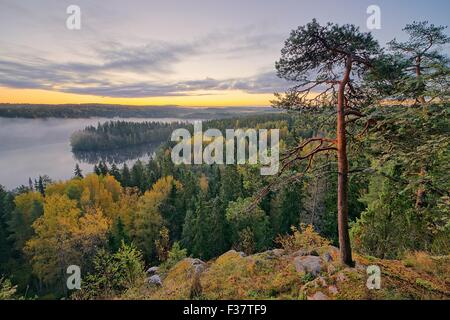 Mattinata nebbiosa nel Aulanko riserva naturale parco in Finlandia. Il sole sta per sorgere nelle prime ore del mattino. Immagine hdr. Foto Stock