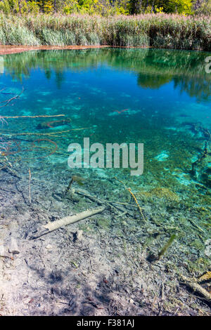 Natura vergine del parco nazionale dei laghi di Plitvice, Croazia Foto Stock