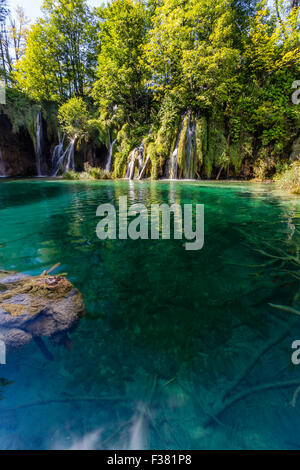 Natura vergine del parco nazionale dei laghi di Plitvice, Croazia Foto Stock