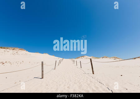 Dune in movimento nel Parco Nazionale di Slowinski, Polonia Foto Stock