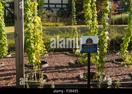 Fabbrica di birra Budweiser tour Merrimack New Hampshire NH Foto Stock