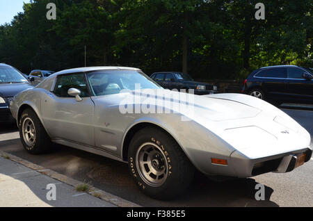 Anni Settanta corvette stingray argento new york park slope brooklyn muscolo auto parcheggiata su strada Foto Stock