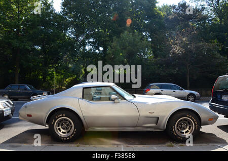 Anni Settanta corvette stingray argento new york park slope brooklyn muscolo auto parcheggiata su strada Foto Stock