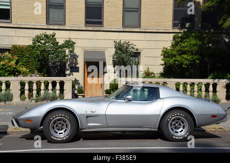 Anni Settanta corvette stingray argento new york Foto Stock