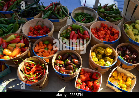 Pepe e peperoncini rossi sulle vendite al mercato degli agricoltori a Grand Army Plaza a Brooklyn, New York City Foto Stock