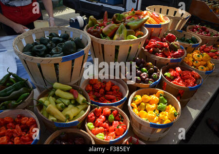 Pepe e peperoncini rossi sulle vendite al mercato degli agricoltori a Grand Army Plaza a Brooklyn, New York City Foto Stock