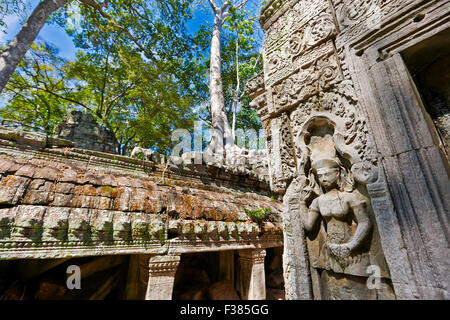 Bassorilievo in Ta Prohm tempio. Parco Archeologico di Angkor, Siem Reap Provincia, in Cambogia. Foto Stock