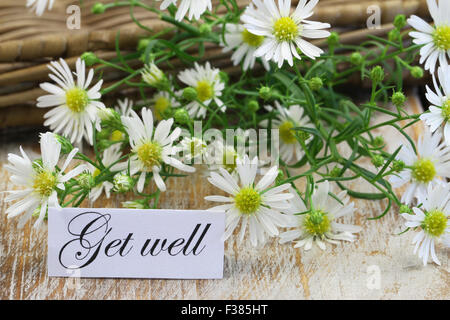 Get Well card con freschi Fiori di camomilla rustico sulla superficie di legno Foto Stock