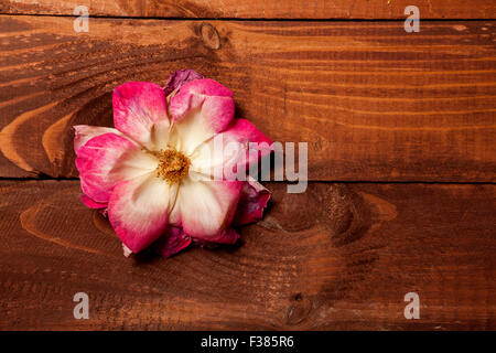 Grunge appassiti è salito oltre il vecchio sfondo di legno Foto Stock
