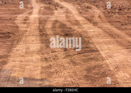 Via ruota sul terreno. Carrello ruota che ha lasciato tracce sul terreno. Foto Stock