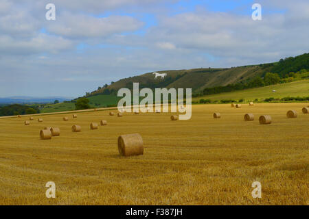 Westbury White Horse.Wiltshire, Inghilterra Foto Stock