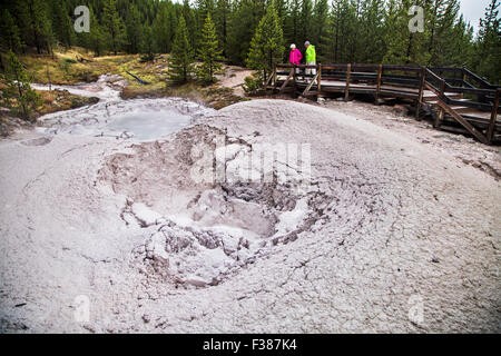 La zona conosciuta come l'artista Paint Pots è un sentiero che conduce ad una colorata serie di geyser e sorgenti calde... Foto Stock