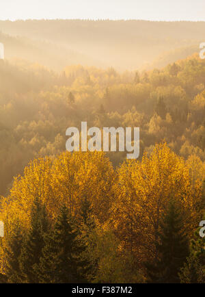 Una bella mattina autunnale a Nuuksio National Park Foto Stock