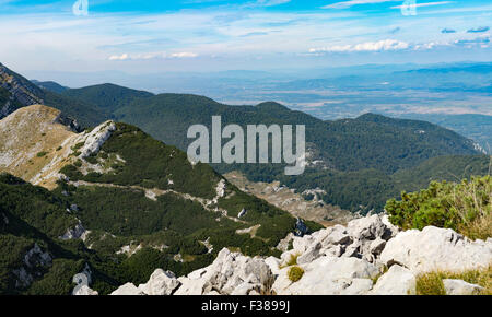 Carso e bosco nella regione meridionale della montagna di Velebit gamma, il Parco Nazionale di Paklenica, Croazia. Foto Stock