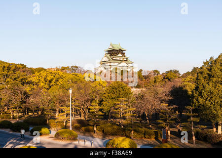 Il castello di Osaka principali tenere visto da il parco del Castello di Osaka. Ora d'oro, la mattina presto, gli alberi in primo piano con castello tenere dietro contro plae blue sky. Foto Stock