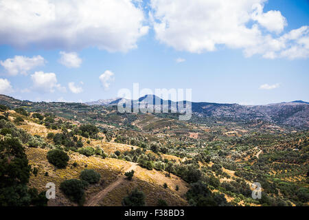 Creta mediterraneo paesaggio di montagna in Grecia con albero di olivo Foto Stock