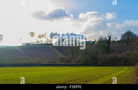 Scuole locomotiva classe numero 925 " Cheltenham " gira in senso inverso su un treno tra Ropley & quattro contrassegni sulla metà Hants Railw Foto Stock