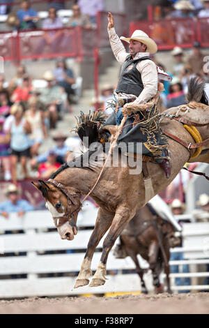 Una sella pilota bronc pende su a strappi bronco allo Cheyenne Frontier Days rodeo di frontiera Arena Parco Luglio 24, 2015 in Cheyenne Wyoming. Giorni di frontiera celebra le tradizioni del cowboy del west con un rodeo, parata e fiera. Foto Stock