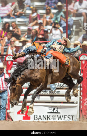 Una sella pilota bronc pende su a strappi bronco allo Cheyenne Frontier Days rodeo di frontiera Arena Parco Luglio 24, 2015 in Cheyenne Wyoming. Giorni di frontiera celebra le tradizioni del cowboy del west con un rodeo, parata e fiera. Foto Stock