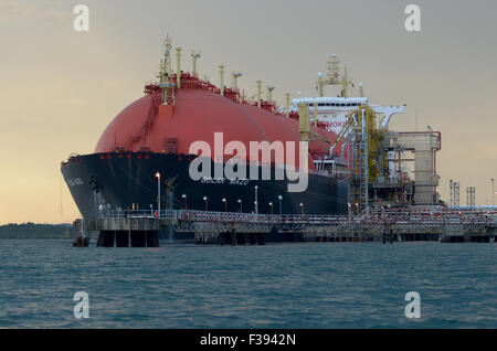 LNG nave, docking in porto terminale GNL stazione, per un massimo di gas di carico utilizzando il braccio di carico tubazione Foto Stock