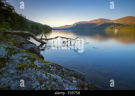 Tramonto su una bonaccia Loch Lomond. Foto Stock