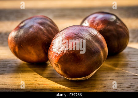 Autunno sfondo con castagne il tavolo di legno in Germania Foto Stock