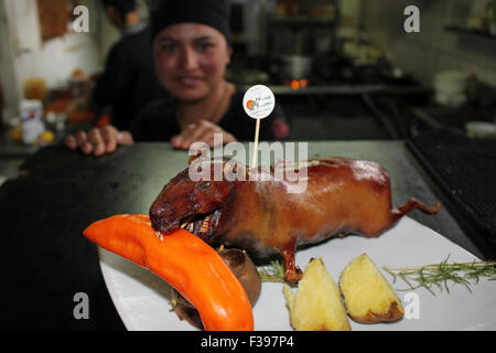 Cuy - Guinea Pig Foto Stock