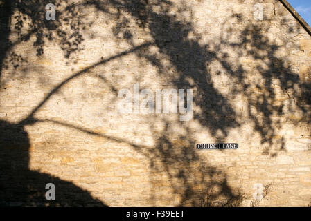 Ombra di albero su di un lato del Cotswold House wall. Church Lane, Fulbrook, Cotswolds, Oxfordshire, Inghilterra Foto Stock