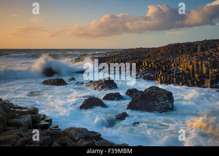 Sera La luce solare sulla Giant's Causeway, County Antrim, Irlanda del Nord Foto Stock